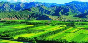 廣西農(nóng)村投資集團待遇怎么樣？廣西農(nóng)業(yè)信貸擔(dān)保公司工資多少？中層如何？