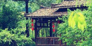 廣西廣投文化旅游公司梅以軍簡(jiǎn)歷，廣西廣投文旅和廣西投資集團(tuán)啥關(guān)系？