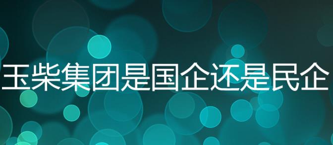 玉柴集團是國企嗎？玉柴集團是五百強嗎？